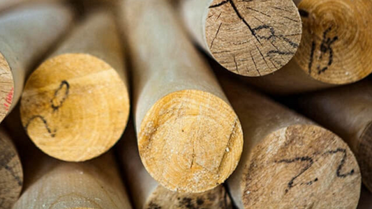 We love wood - a versatile and sustainable raw material