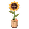 Wooden Sunflower Assembly Craft Kit – DIY Model