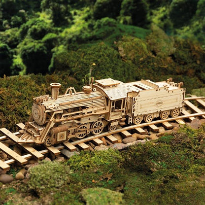 Train with tender (1:80)